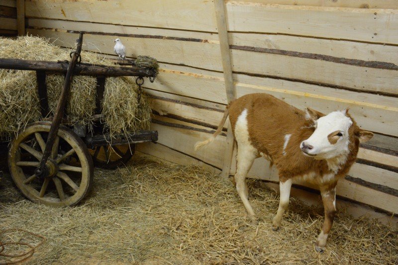 Interaktivní muzeum Švýcárna Slatiňany