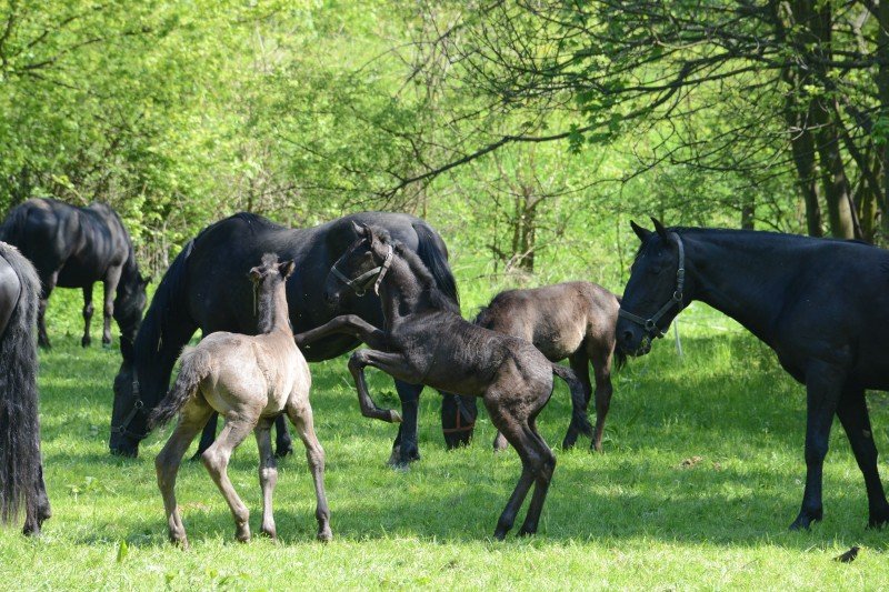 Interaktivní muzeum Švýcárna Slatiňany