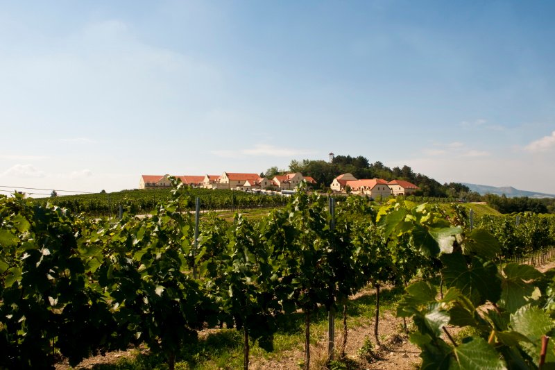 Vinařství U Kapličky - penzion