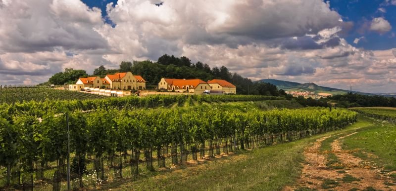 Vinařství U Kapličky - restaurace