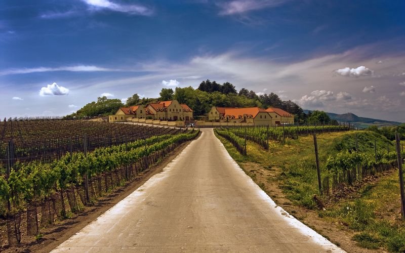 Vinařství U Kapličky - restaurace