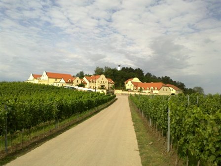 Vinařství U Kapličky - restaurace