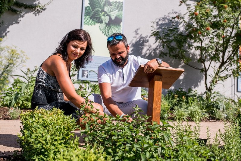 Bylinkový ráj Sonnentor