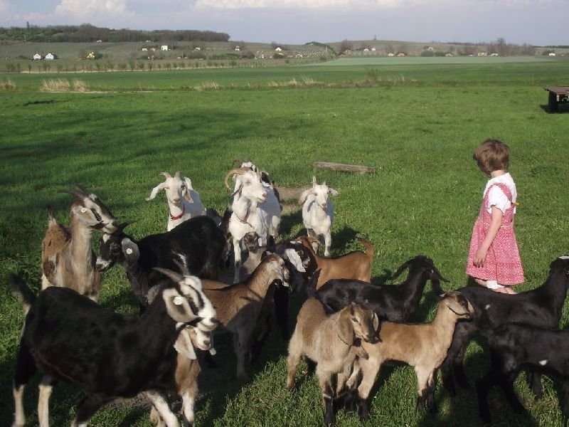 Jáňův dvůr - výletní hospůdka