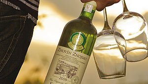 ZNOVÍN ZNOJMO, a. s. - ochutnávkový stánek Staré vinice, Havraníky