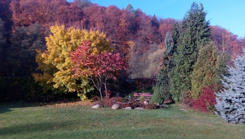 Penzion Podhorní mlýn****