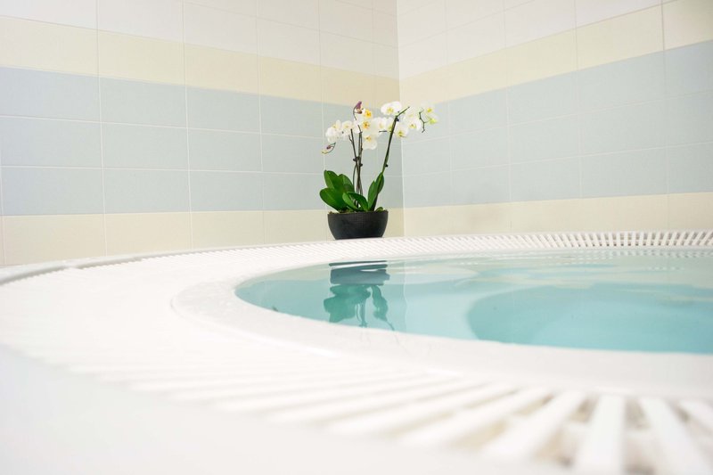 Penzion s wellness Uherské Hradiště