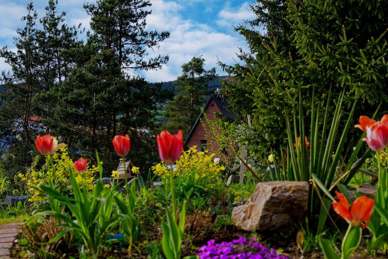 Kamýcké Hájemství