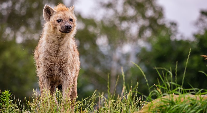 Zoopark Na Hrádečku