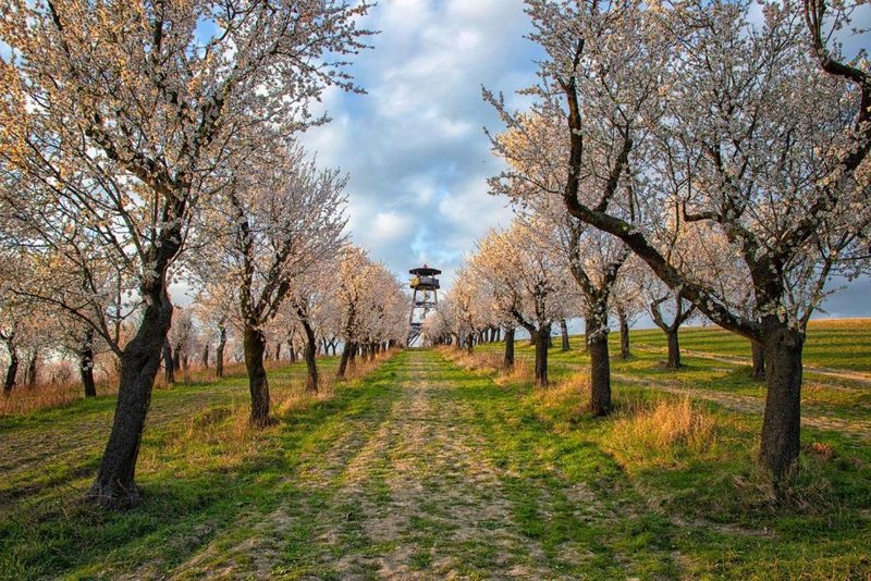 Hotel Rustikal - restaurace