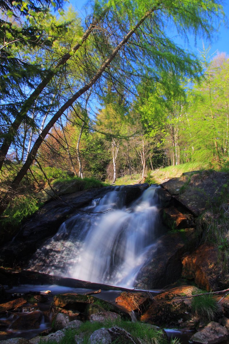 Horský hotel Lesná