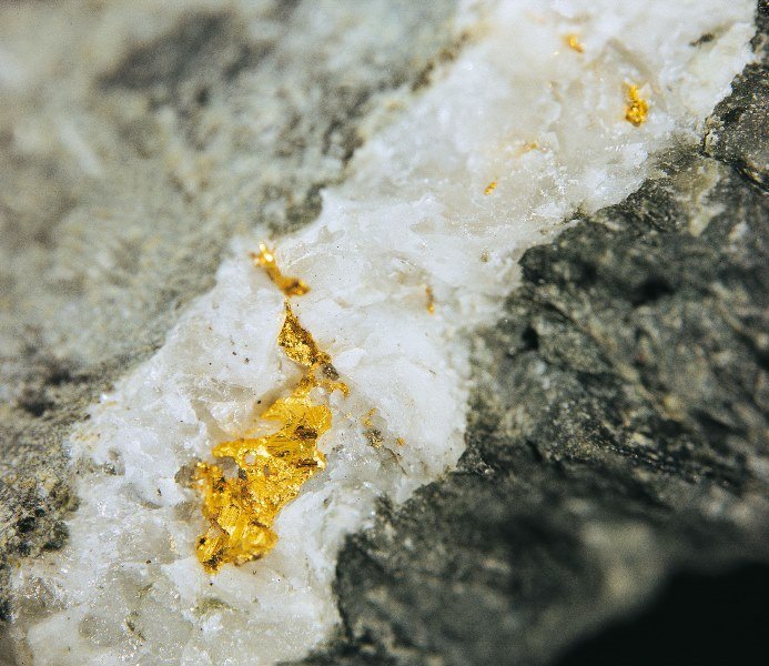 Regionální muzeum v Jílovém u Prahy