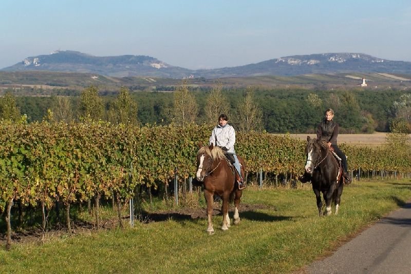 Jáňův dvůr - kemp