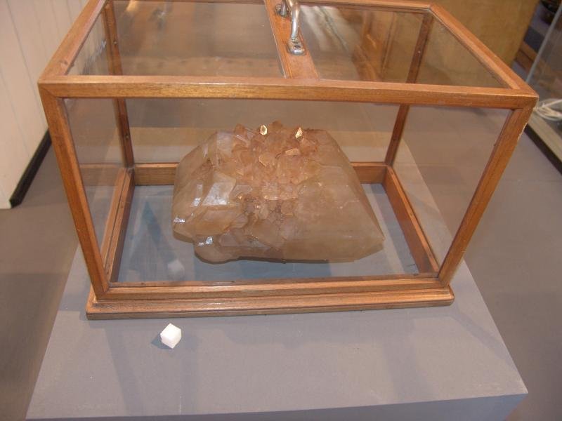 Dobrovická muzea, o.p.s