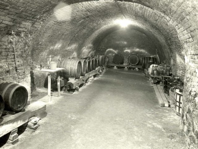 Rodinné vinařství U Samsonů